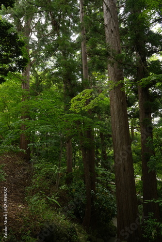 Fujita Memorial Japanese Garden in Hirosaki, Aomori - 青森 弘前 藤田記念庭園