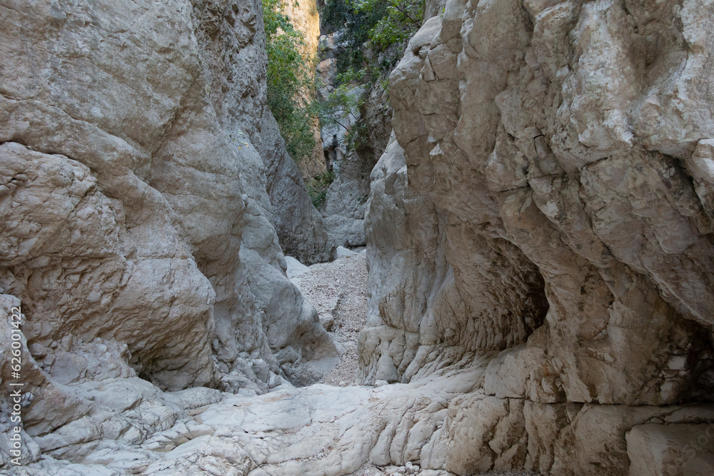 Obraz premium Summer in the ravine of hell (Barranc de l'Inferno), Vall de Laguar, Alicante province, Spain - stock photo