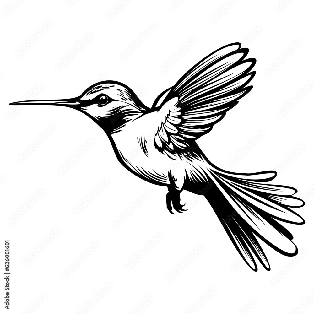 Obraz premium Hummingbird’s silhouette, Hummingbirds mascot logo, Hummingbirds Black and White Animal Symbol Design, Bird icon.