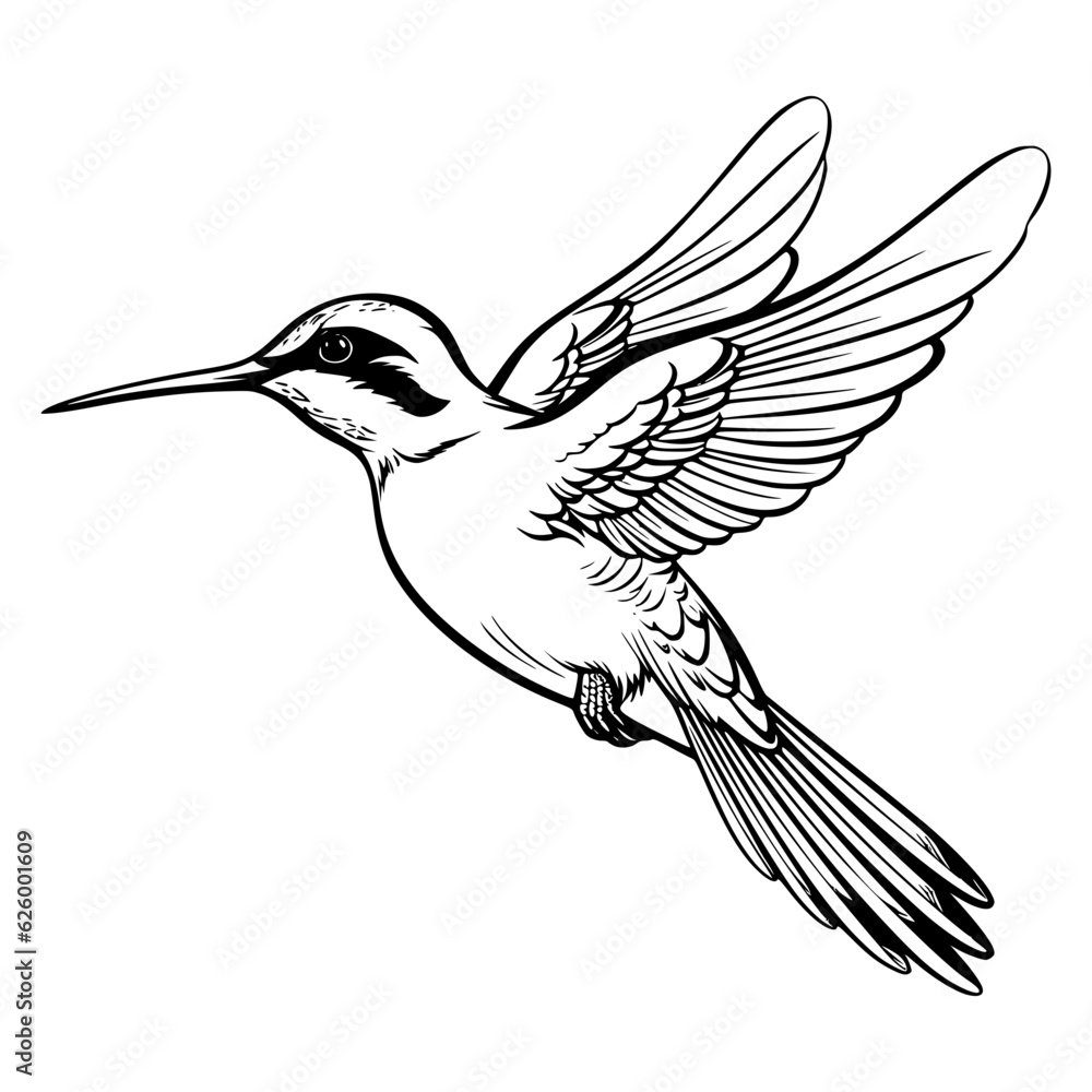 Obraz premium Hummingbird’s silhouette, Hummingbirds mascot logo, Hummingbirds Black and White Animal Symbol Design, Bird icon.