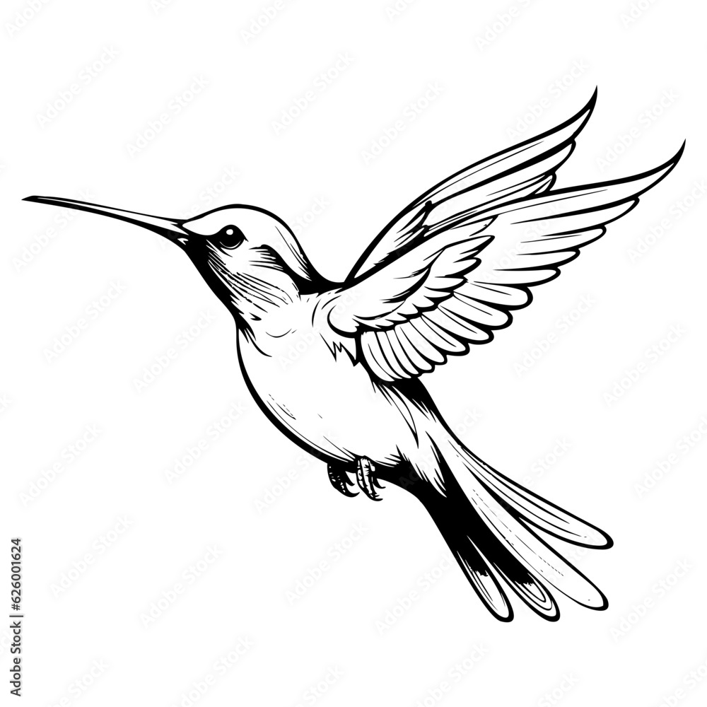 Fototapeta premium Hummingbird’s silhouette, Hummingbirds mascot logo, Hummingbirds Black and White Animal Symbol Design, Bird icon.