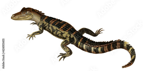 Vintage Crocodile Reptile Illustration Botanical Artwork Fauna And Flora Predator Gator