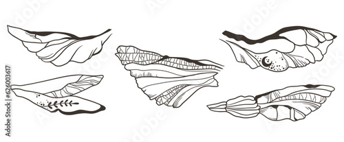 Set of hand drawn butterfly and dragonfly wings, magic insects wing with moon ornament - vector clip art set, vector illustration