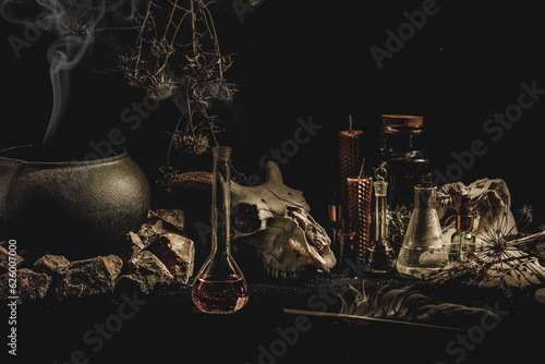 Witchcraft or alchemistry altar. Goats skull, flasks, dry herbs, iron cauldron, wax candles, smoking incense in the dark, low key, selective focus.