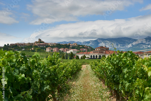 Laguardia. Rioja Alavesa. Alava province, Basque Country, Euskadi, Euskal Herria, Spain, Europe. photo