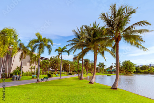 Lawn, coconut trees in the park © Siam