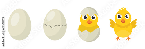 chicken hatching stages. baby chick born from egg. yellow cartoon chicks, cracked shell, cartoon chicks growth stages. vector cartoon birds