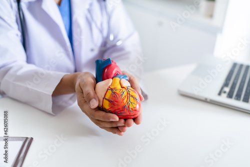 Fotografie Doctor with anatomical model of human heart Cardiologist supports the heart