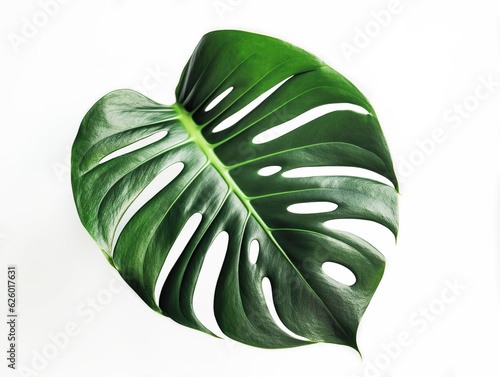 Monstera leaf on a white isolated background. Generative AI. The concept of minimalistic Scandinavian style in interior.