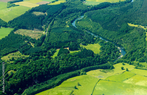 Forest Aerial View