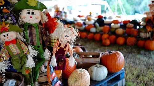 Scarecrow surrounded by many pumpkins