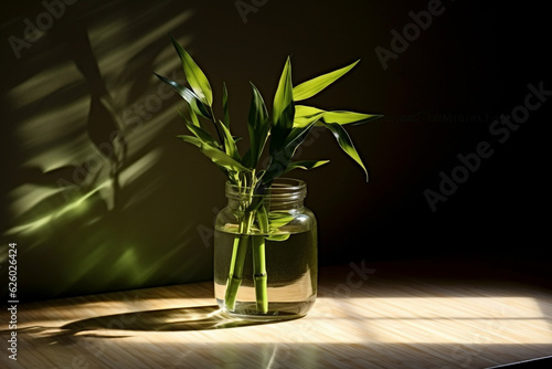 Green lucky bamboo Dracaena braunii, or Ribbon plant, belgian evergreen in glass water jar with shadow. generative ai photo