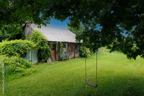 Cabin in woods