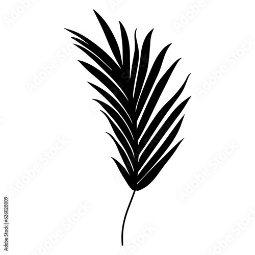 Palm tree leaf silhouette. Vector illustration