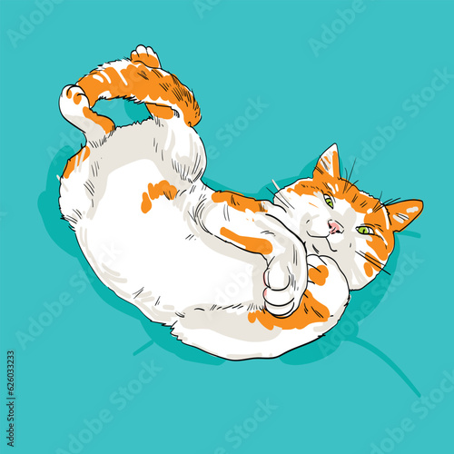Red, white funny fat cat lies on its back, paws up and looks into the frame. Satisfied spoiled lazy yellow cat on a turquoise blue background. Vector sketch. Realistic hand drawing of an animal