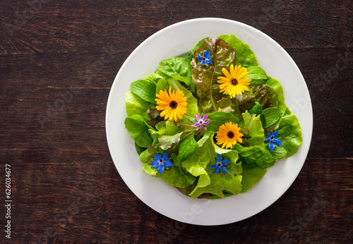 Healthy vegetable salad with wild edible flowers on the plate. Lettuce, borage and calendula flowers