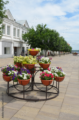 flower garden on the Volsky Arbat photo