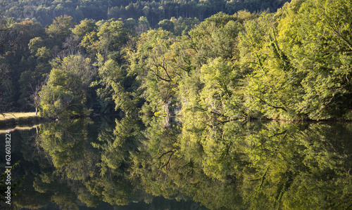 reflet d'arbres sur la Loue en été