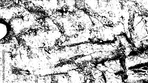 Wallpaper Mural Rustic grunge vector texture with grain and stains. Abstract noise background. Weathered surface. Dirty and damaged. Detailed rough backdrop. Vector graphic illustration with transparent white. EPS10. Torontodigital.ca