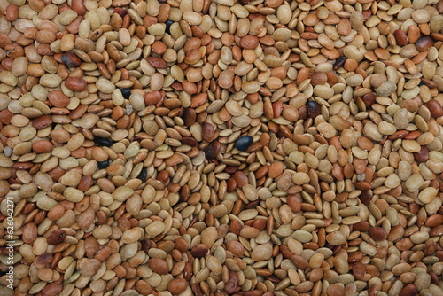 Horse gram  Beans used in Indian cooking .pulses background texture
