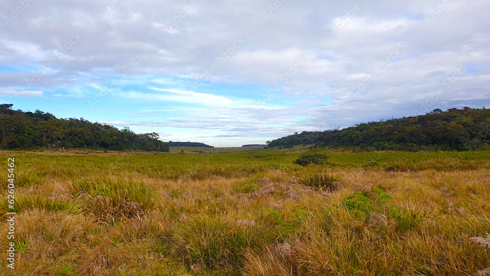 Beautiful Horton Plains Sri Lanka