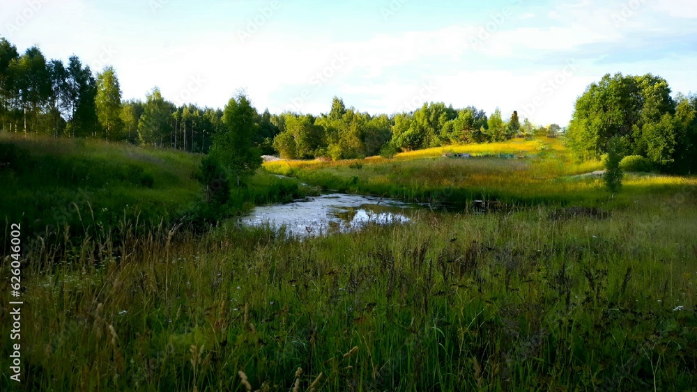 Landscape Landscape