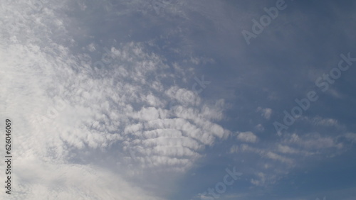 Fototapeta Naklejka Na Ścianę i Meble -  Nature scenes