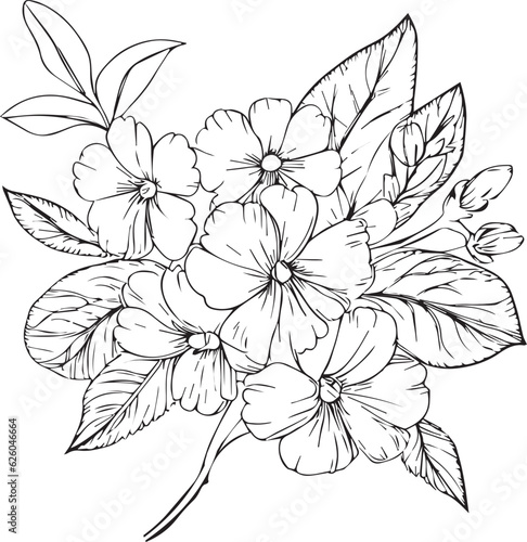 Unique flower coloring pages, Hand-drawn vector illustration of a garden variety of Violate tricolor and outline illustration, oenothera rosea Flowers Wall Decor, primrose flower art print