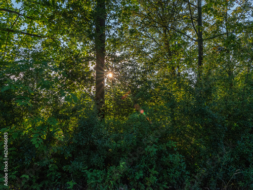 Sonnenstrahl im Wlad