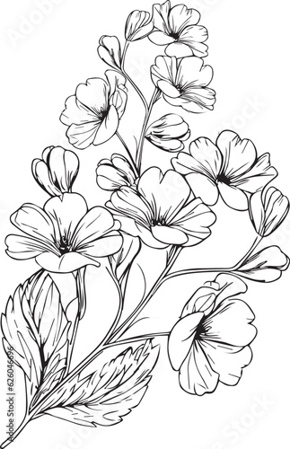 Topical flower prime coloring pages. pansy flower line art, pansy flower tattoo designs, Realistic flower coloring pages, primrose flower vector sketch traditional primrose tattoo and primula tattoos. photo