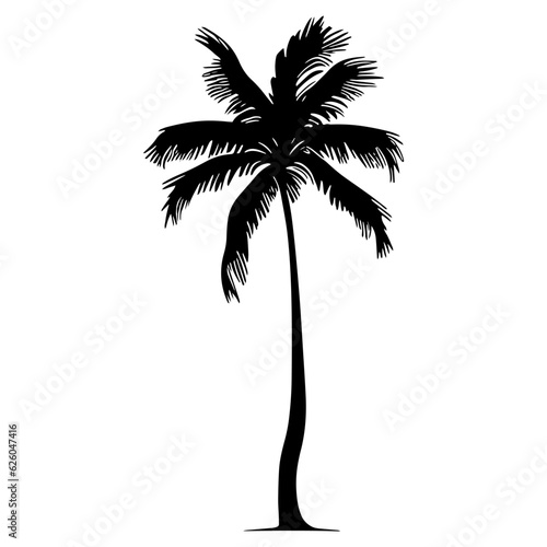 Palm tree silhouette. Vector illustration
