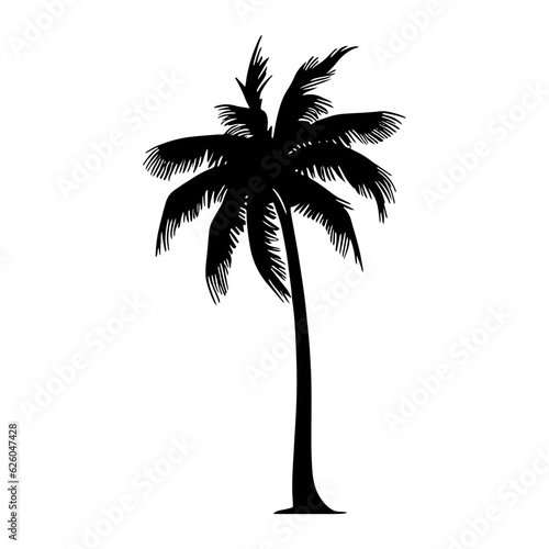 Palm tree silhouette. Vector illustration