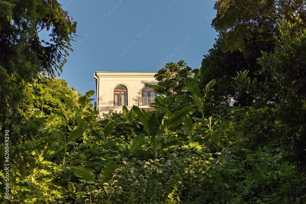 Uphill villa in the lush green tropical garden Uphill villa in the lush green tropical garden