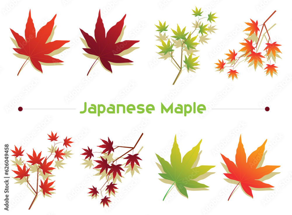 Japanese maple leaf vector set, autumn, leaf, vector, maple, illustration, design, symbol, icon, star, pattern, art, leaves, season, fall, sun, color, nature, set, yellow, decoration, orange, summer Japanese maple leaf vector set, autumn, leaf, vector, maple, illustration, design, symbol, icon, star, pattern, art, leaves, season, fall, sun, color, nature, set, yellow, decoration, orange, summer