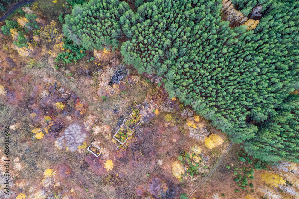 top view of the destroyed building located in the forest. roads and ruins