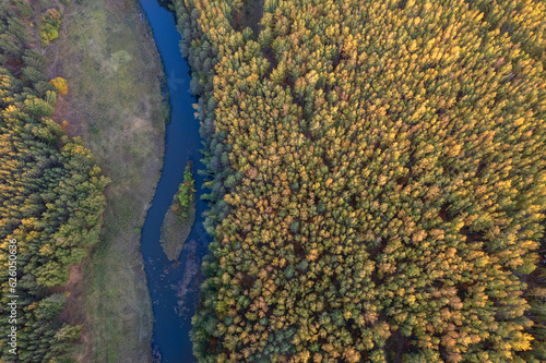 Fototapeta Naklejka Na Ścianę i Meble -  top view of the river flowing in a wooded area, a small island on the river