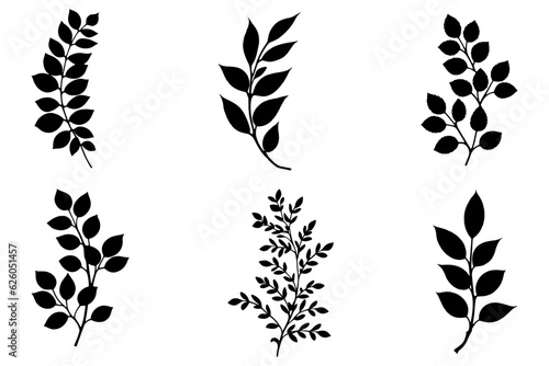 Set of Branches with leaves and stem silhouette. Vector illustration