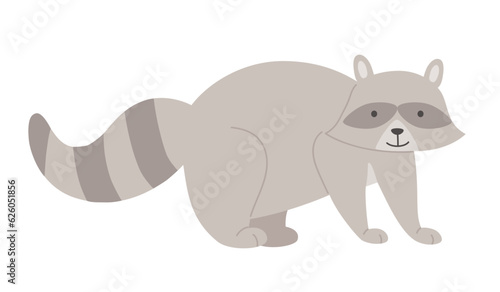 Forest raccoon animal. Striped fluffy animal  wildlife fauna  animal with bushy tail vector illustration