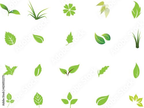set of green leaf vector icon element, leaf, nature, plant, vector, green, icon, tree, design, illustration, eco, set, pattern, spring, ecology, floral, natural, symbol, branch, leaves, summer, eco