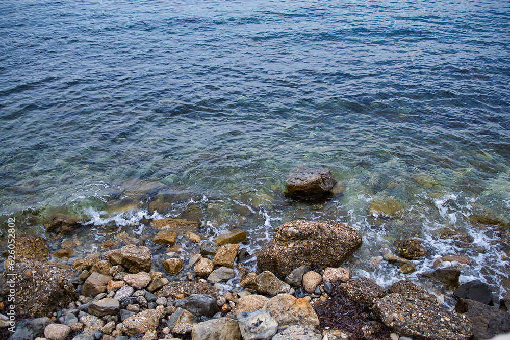 Obraz premium サントロペの海