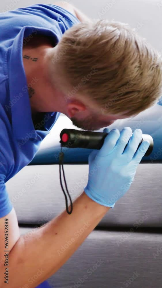 Bed Bug Infestation And Treatment Service Bed Bug Infestation And Treatment Service