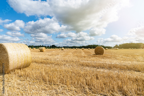 Getreideernte - Strohballen liegen auf abgeernteten Getreidefeld.