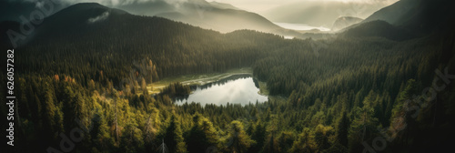 panoramic view of the lake in the Carpathian mountains