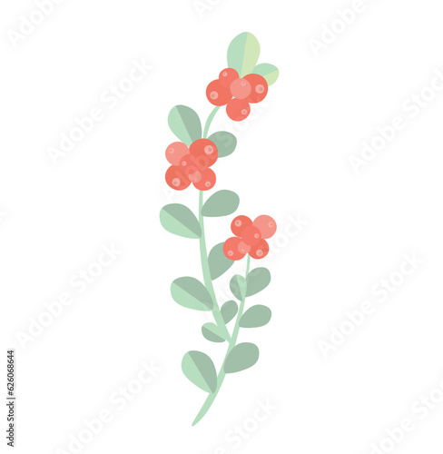 Lingonberry, partridgeberry, mountain cranberry or cowberry, is a red fruits green leaves pastel colored flat design stock vector illustration for web, for print, for sticker, object isolated on white