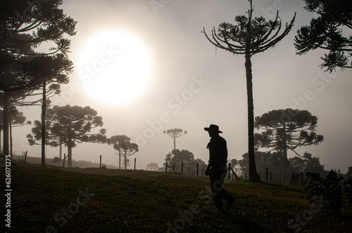 Gaucho man in the backlight, walking in the mountain farm with a lot of fog

