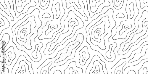Abstract topographic map outline seamless pattern. Modern minimalist black and white topography landscape background design. Relief contour land line drawing wallpaper print texture.	 photo