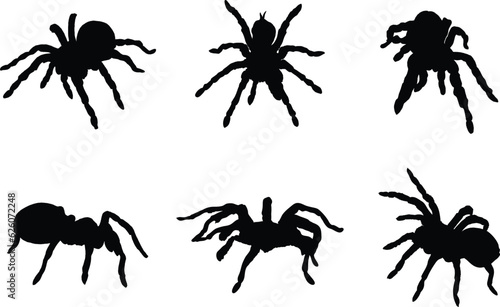 A collection of Tarantulas in various positions