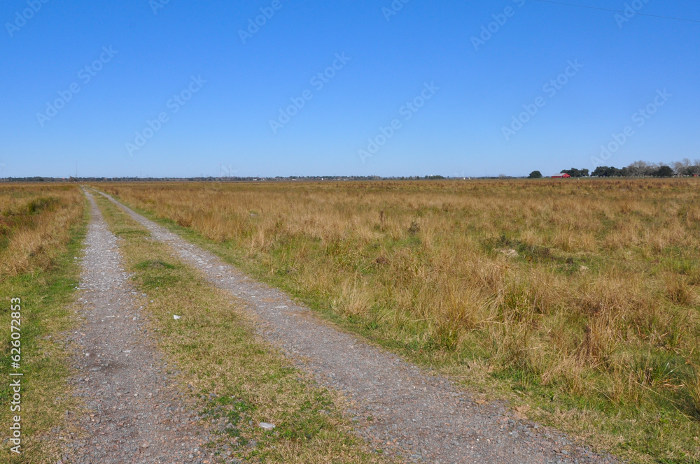 Gravel road leading through a picturesque cattle farm. Gravel road leading through a picturesque cattle farm.
