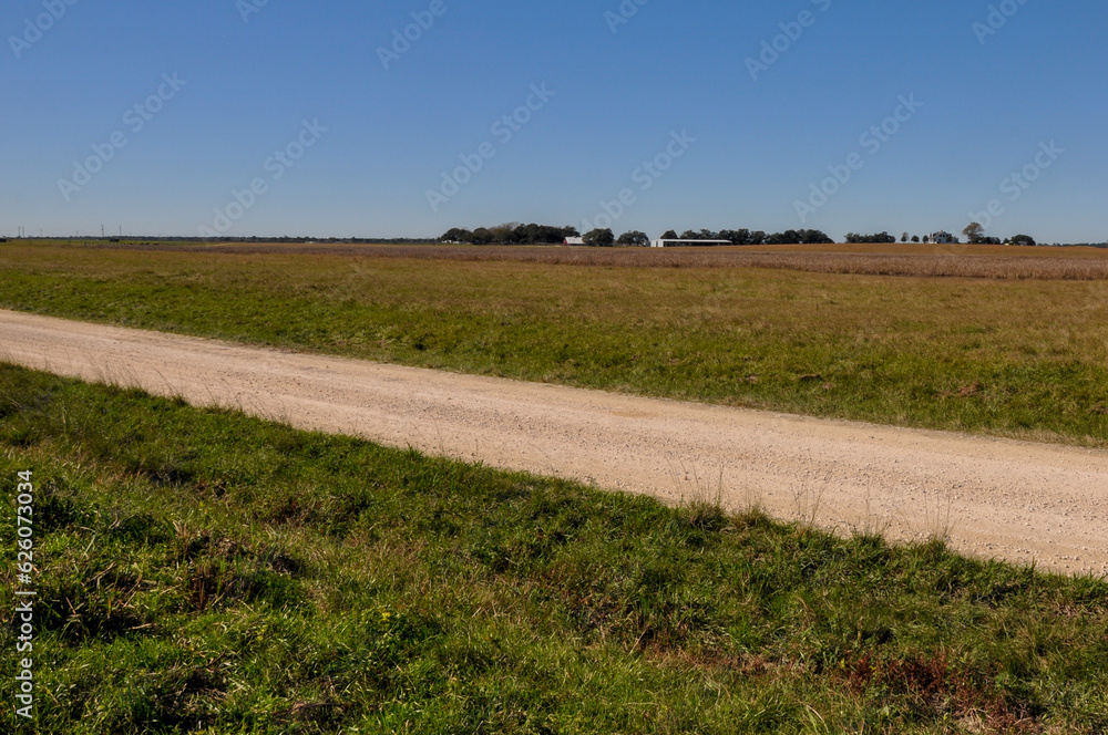 Gravel road leading through a picturesque cattle farm.
