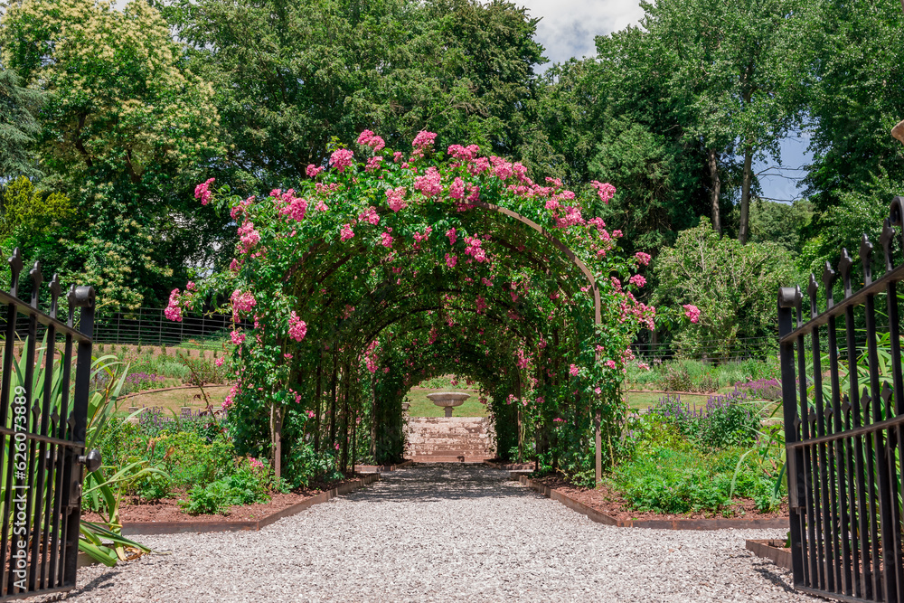 Formal rose garden with arching trellises